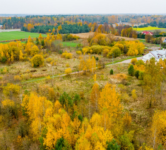 DJI_0864