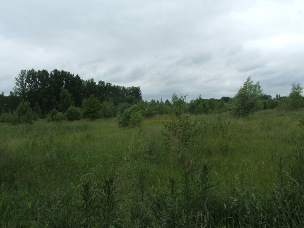 DSCF6196