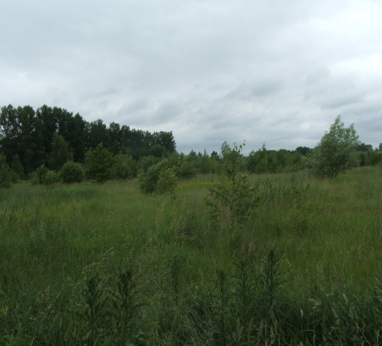 DSCF6196